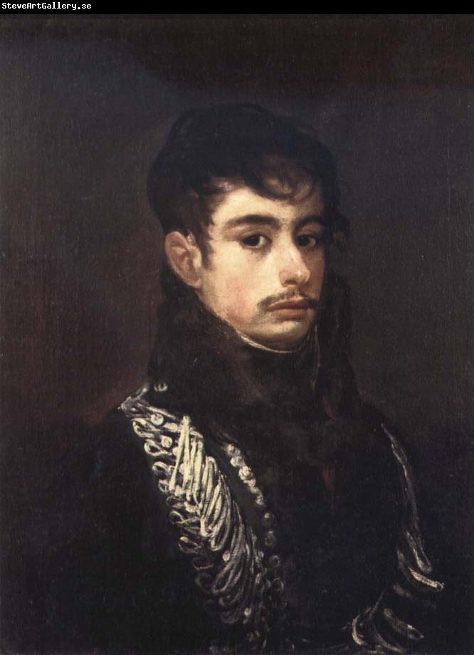 Francisco Goya An Officer